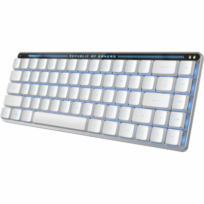 ROG FALCHION RX LOW PROFILE